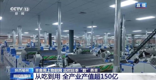 物聯(lián)網(wǎng)與人工智能賦能智慧羊舍 技術(shù)革新驅(qū)動(dòng)養(yǎng)羊業(yè)出欄旺季高效增長